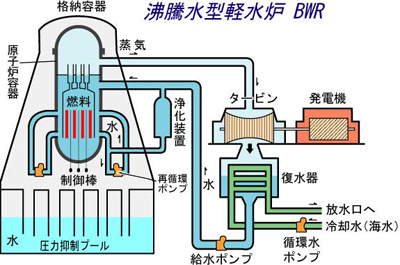 BWR System